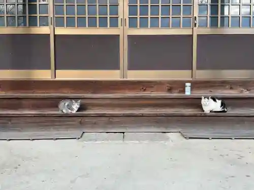 一心寺・一心禅寺(愛知県)