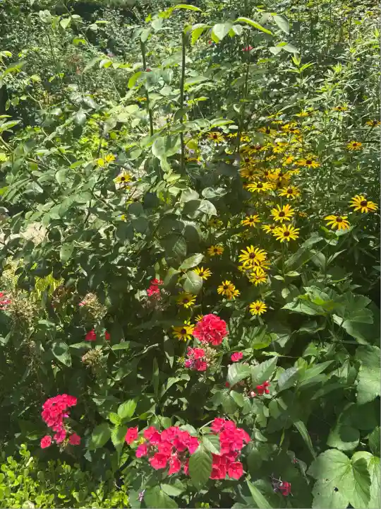曽我浅間神社(静岡県)