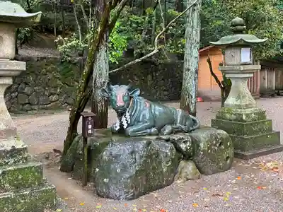 石上神宮の狛犬