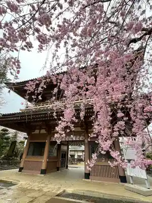 東勝寺宗吾霊堂の山門・神門