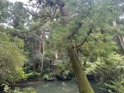 伊勢神宮外宮（豊受大神宮）(三重県)