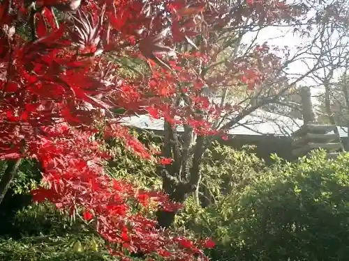 浄光明寺の庭園