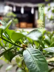 御嶽神社茅萱宮(岐阜県)