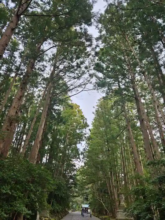 彌彦神社(新潟県)