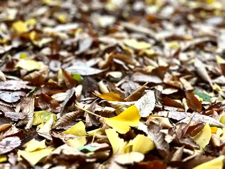 白鳥神社(長野県)