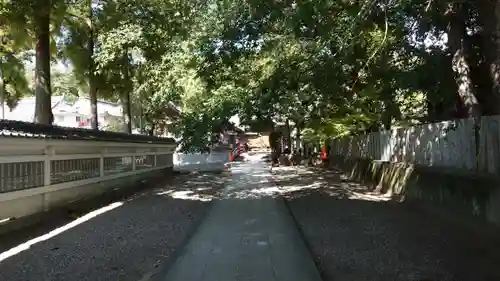 金泉寺(徳島県)