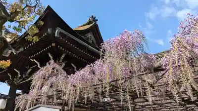 六孫王神社(京都府)