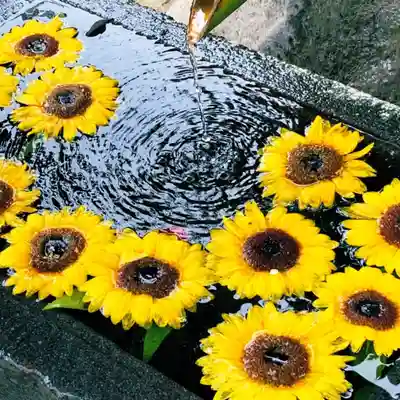 差出磯大嶽山神社 仕事と健康と厄よけの神さまの手水舎