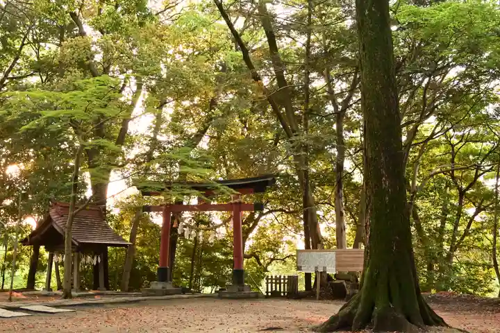氷川女體神社(埼玉県)