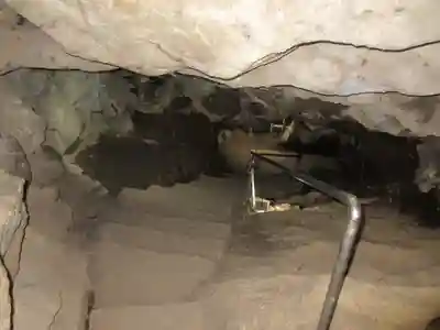 橋立堂のその他建物