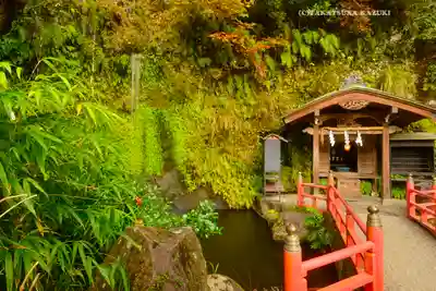銭洗弁財天宇賀福神社(神奈川県)