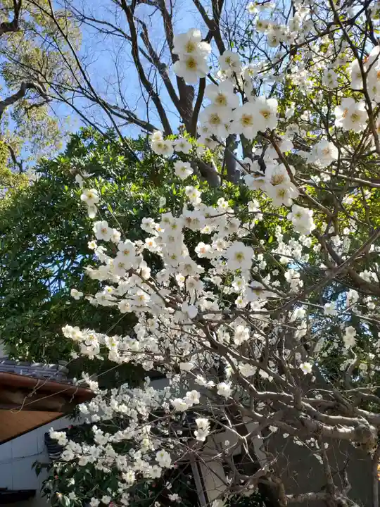 大宮神社(千葉県)