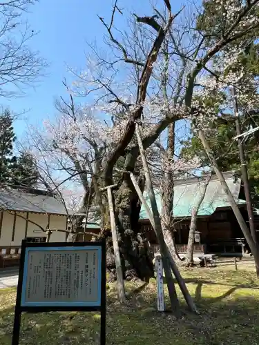 蠶養國神社(福島県)