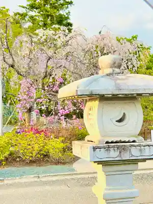 日限地蔵尊 観音院(群馬県)