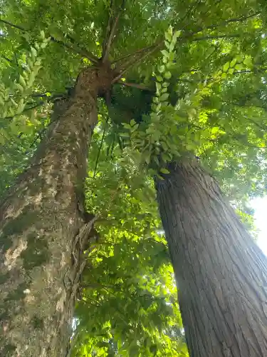 春日神社(福井県)