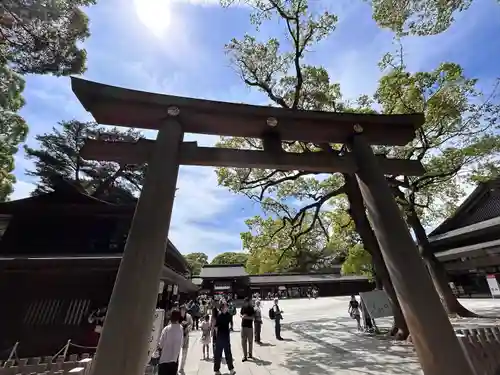 明治神宮の鳥居