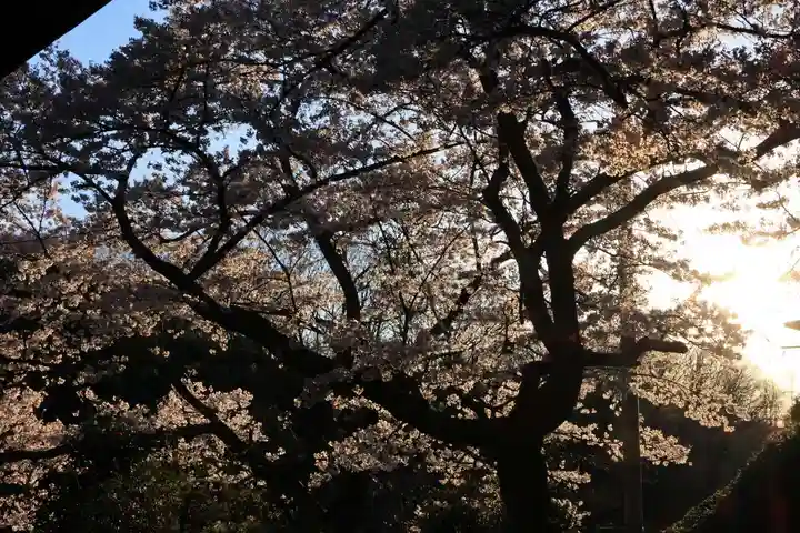 田村大元神社の自然