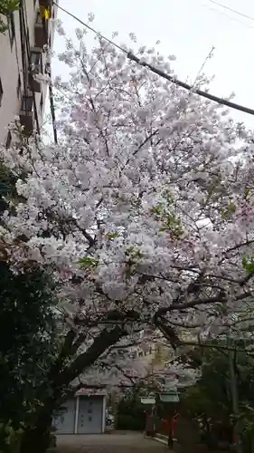 秋葉神社(東京都)
