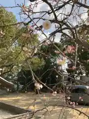 伊和志津神社の自然