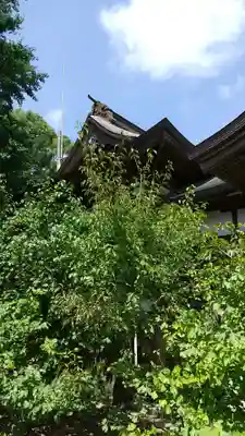 茂原八幡神社の本殿・本堂