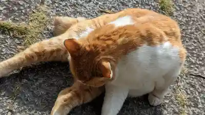 乗願寺(京都府)