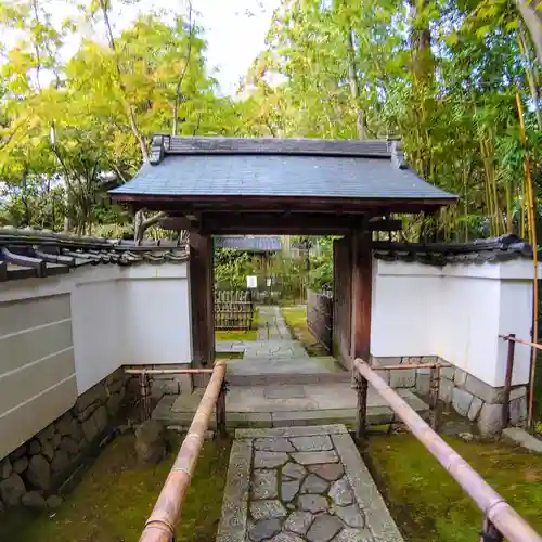 高桐院の山門