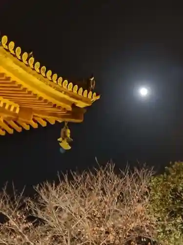 東寺（教王護国寺）(京都府)