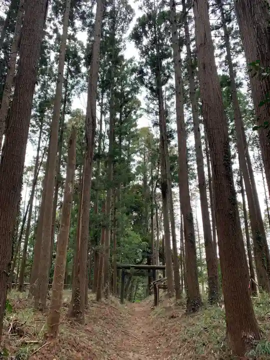 日吉神社(千葉県)