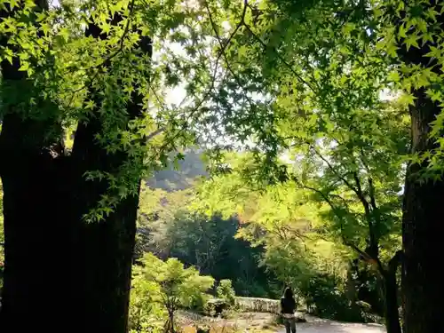 宝満宮竈門神社の自然