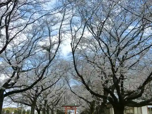 東蕗田天満社の自然