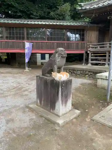 雀神社の狛犬