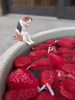 駒込妙義神社(東京都)