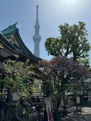 高木神社の{uncategorized: "未分類", other: "その他", undefined: "問題あり", building: "その他建物", grave: "お墓", sacred_gate: "鳥居", guardian: "狛犬", statue: "像", buddha: "仏像", history: "歴史", nature: "自然", garden: "庭園", animal: "動物", pagoda: "塔", temizu: "手水舎", mountain_gate: "山門・神門", sanctuary: "本殿・本堂", subordinate: "末社・摂社", art: "芸術", scenery: "景色", jizo: "地蔵", ema: "絵馬", goshuin: "御朱印", omikuji: "おみくじ", items: "授与品その他", amulet: "お守り", goshuincho: "御朱印帳", eats: "食事", festival: "お祭り", votive_dance: "神楽", shichigosan: "七五三参", wedding: "結婚式", experience: "体験その他", initially: "初詣", around: "周辺", anti_infection: "感染症対策"}