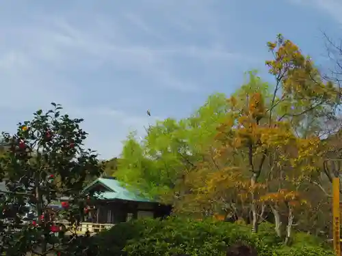 鶴岡八幡宮の庭園