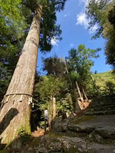 轟神社(徳島県)