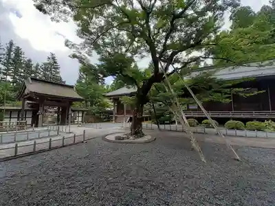 龍泉院(和歌山県)