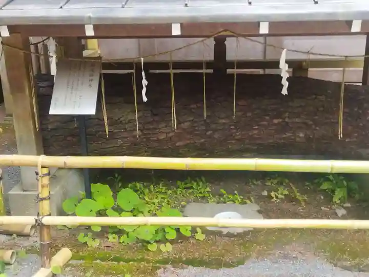 九頭竜大社(京都府)