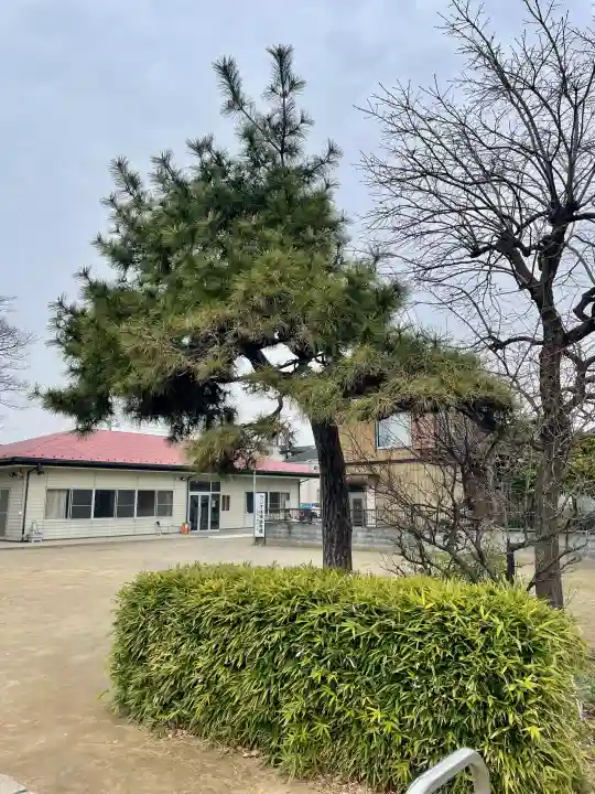 上小岩天祖神社の{uncategorized: "未分類", other: "その他", undefined: "問題あり", building: "その他建物", grave: "お墓", sacred_gate: "鳥居", guardian: "狛犬", statue: "像", buddha: "仏像", history: "歴史", nature: "自然", garden: "庭園", animal: "動物", pagoda: "塔", temizu: "手水舎", mountain_gate: "山門・神門", sanctuary: "本殿・本堂", subordinate: "末社・摂社", art: "芸術", scenery: "景色", jizo: "地蔵", ema: "絵馬", goshuin: "御朱印", omikuji: "おみくじ", items: "授与品その他", amulet: "お守り", goshuincho: "御朱印帳", eats: "食事", festival: "お祭り", votive_dance: "神楽", shichigosan: "七五三参", wedding: "結婚式", experience: "体験その他", initially: "初詣", around: "周辺", anti_infection: "感染症対策"}