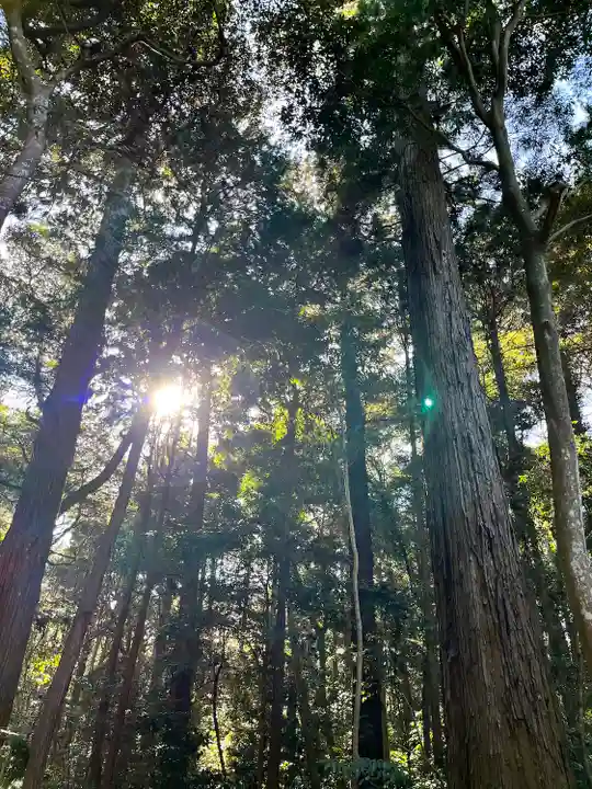 鹿島神宮(茨城県)