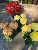 伊奈冨神社(三重県)