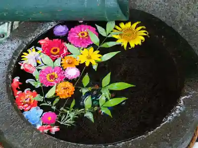 今市報徳二宮神社の手水舎