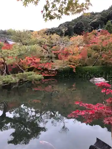 禅林寺（永観堂）の庭園