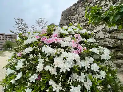 三蔵稲荷神社(広島県)