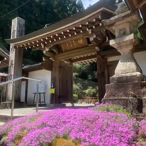 常覺寺の山門