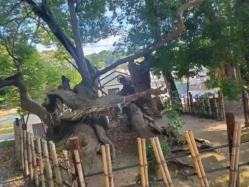 草薙神社の自然