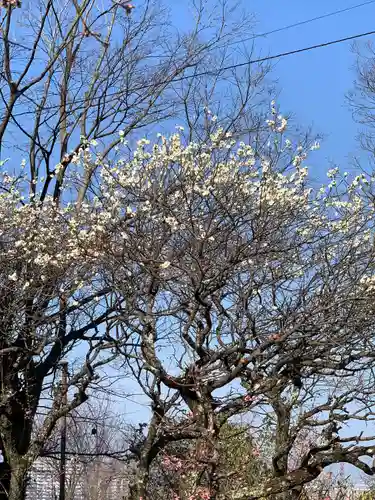 意賀美神社(大阪府)