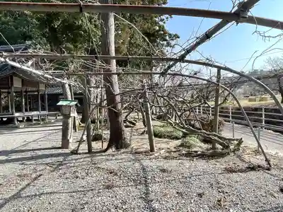 日枝神社(滋賀県)