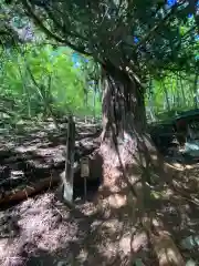 鵜鳥神社の自然