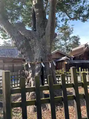天宮神社(静岡県)