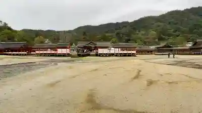 厳島神社の{uncategorized: "未分類", other: "その他", undefined: "問題あり", building: "その他建物", grave: "お墓", sacred_gate: "鳥居", guardian: "狛犬", statue: "像", buddha: "仏像", history: "歴史", nature: "自然", garden: "庭園", animal: "動物", pagoda: "塔", temizu: "手水舎", mountain_gate: "山門・神門", sanctuary: "本殿・本堂", subordinate: "末社・摂社", art: "芸術", scenery: "景色", jizo: "地蔵", ema: "絵馬", goshuin: "御朱印", omikuji: "おみくじ", items: "授与品その他", amulet: "お守り", goshuincho: "御朱印帳", eats: "食事", festival: "お祭り", votive_dance: "神楽", shichigosan: "七五三参", wedding: "結婚式", experience: "体験その他", initially: "初詣", around: "周辺", anti_infection: "感染症対策"}